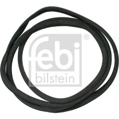 FEBI BILSTEIN Dichtung, Windschutzscheibe | 02789