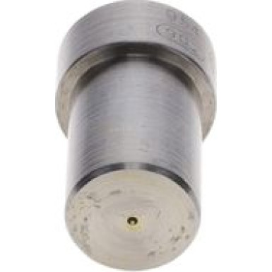 Einspritzdüse | FIAT,OPEL,CITROEN,PEUGEOT | 0 434 250 233 Einspritzdüse | FIAT,OPEL,CITROEN,PEUGEOT | 0 434 250 233
