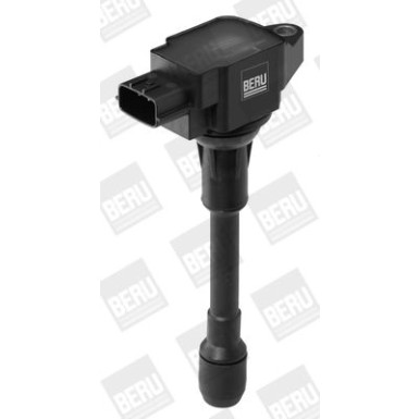 BorgWarner (BERU) Zündspule ZSE088
