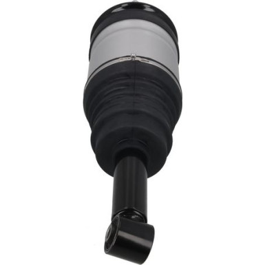 2070095 Luftfederbein 2070095 Luftfederbein