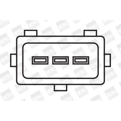 BorgWarner (BERU) Zündspule ZS029