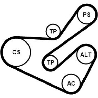 Continental CTAM Satz Gürtel 6PK1740K1