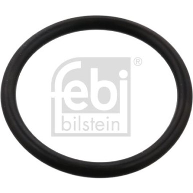 Dichtring | 102594