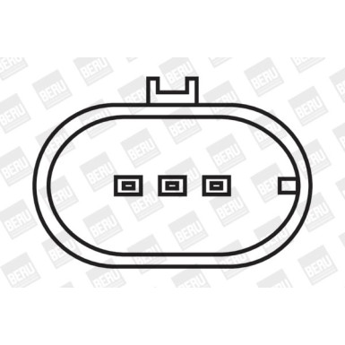 BorgWarner (BERU) Zündspule BorgWarner (BERU) Zündspule