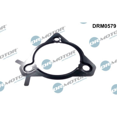 Dichtung, Einspritzpumpe | DRM0579