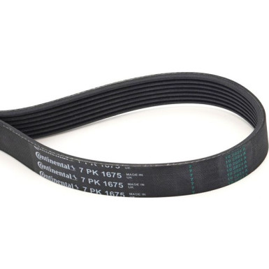Continental CTAM Rillenriemen 7PK1675 Continental CTAM Rillenriemen 7PK1675