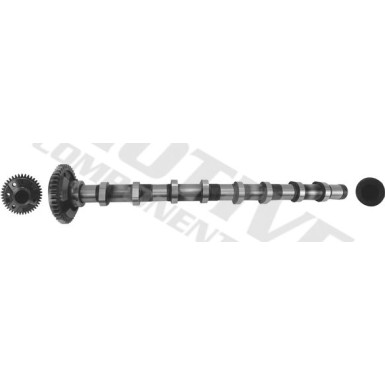 Nockenwelle | T4341