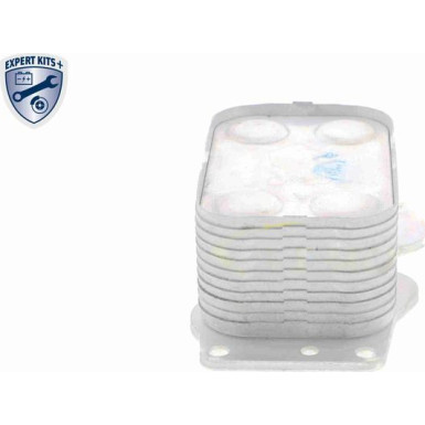 VEMO Ölkühler, Motoröl V25-60-0025 Expert Kits + VEMO Ölkühler, Motoröl V25-60-0025 Expert Kits +