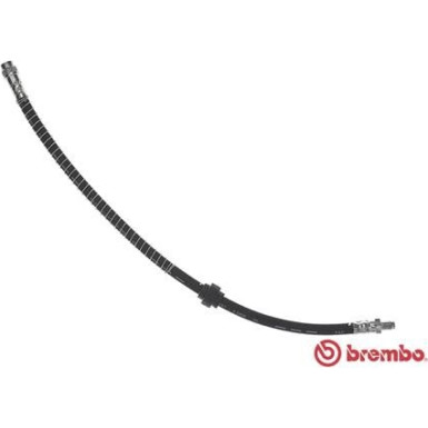 BREMBO Bremsschlauch | T 11 015