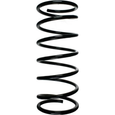 SPIDAN Fahrwerksfeder 49421 SPIDAN Fahrwerksfeder 49421