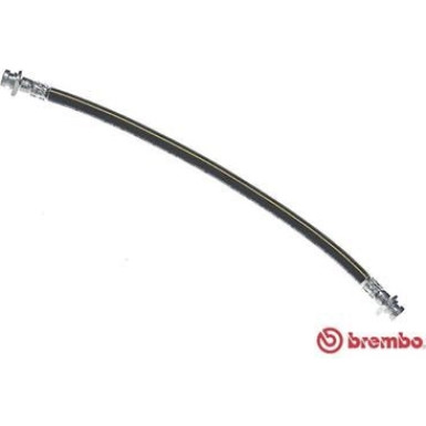 BREMBO Bremsschlauch | T 59 085