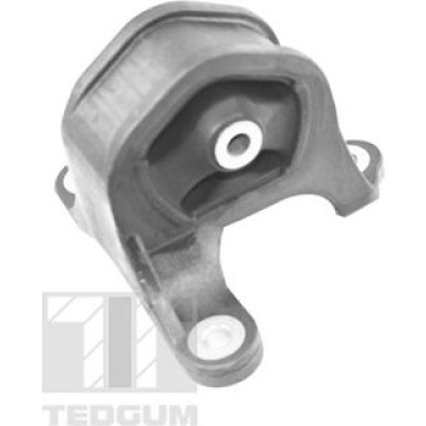 TEDGUM_TD Lagerung, Motor TED95218