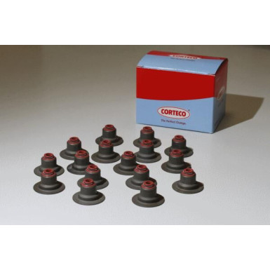 19036008 Dichtungssatz, Ventilschaft