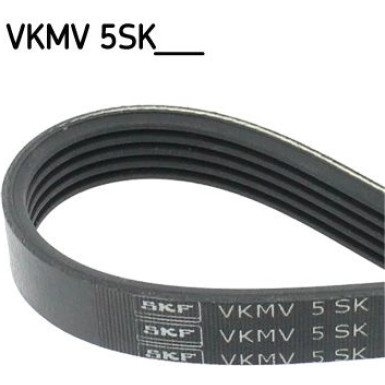 SKF Keilrippenriemen | VKMV 5SK628
