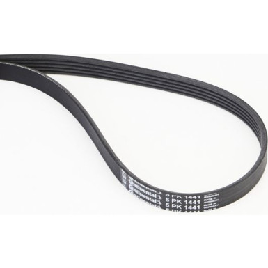 Keilrippenriemen | 5PK1441 Keilrippenriemen | 5PK1441
