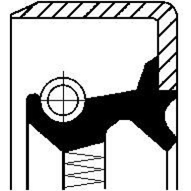 01029681B Wellendichtring, Differential