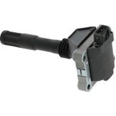 BorgWarner (BERU) Zündspule ZS428