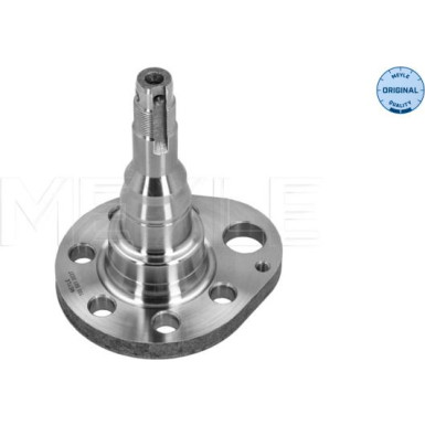 17 325 017 Achsschenkel HA li | AUDI,SEAT,SKODA,VW | 1005010037