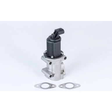 WAHLER AGR-Ventil | 710952R