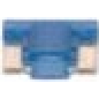 1 987 529 047 Sicherung