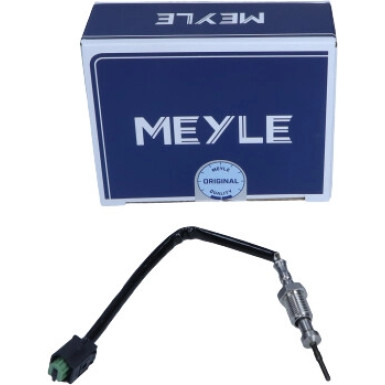 Sensor, Abgastemperatur | 3148000060
