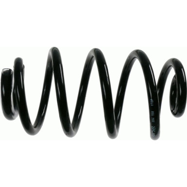 Sachs Fahrwerksfeder Renault T. Clio Iii 1.2/1.4/1.6/1.5Dci 05 | 994 168