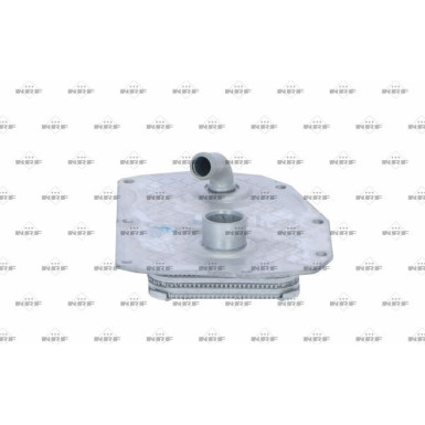 Ölkühler, Motor“L | 31352
