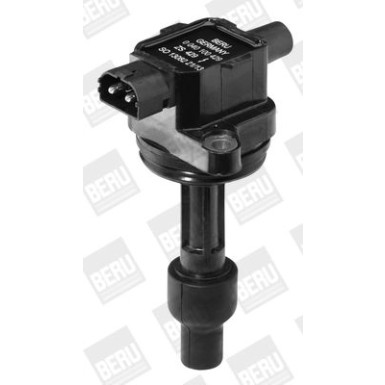 BorgWarner (BERU) Zündspule ZS429