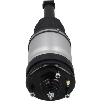 2070095 Luftfederbein 2070095 Luftfederbein