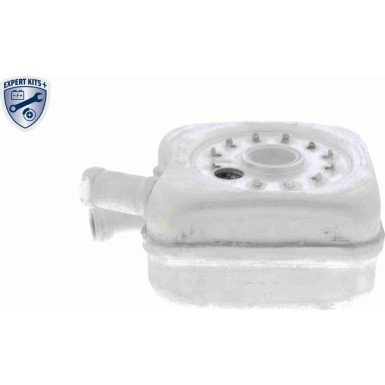 VEMO Ölkühler, Motoröl V15-60-6011 Expert Kits +