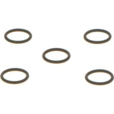 O-Ring | Diverse | F 01M 100 389