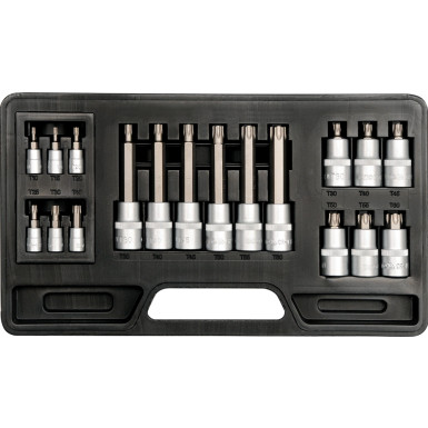YT-7751 Biteinsatz-Sortiment 18. St. Torx T10-T60mm