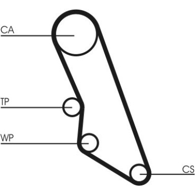 Continental CTAM Timing-Kit