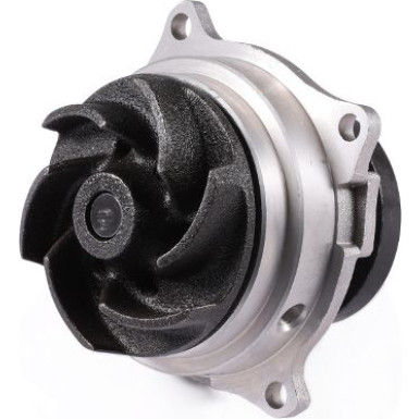 HEPU Wasserpumpe P236