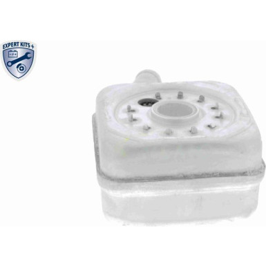 VEMO Ölkühler, Motoröl V15-60-6011 Expert Kits +