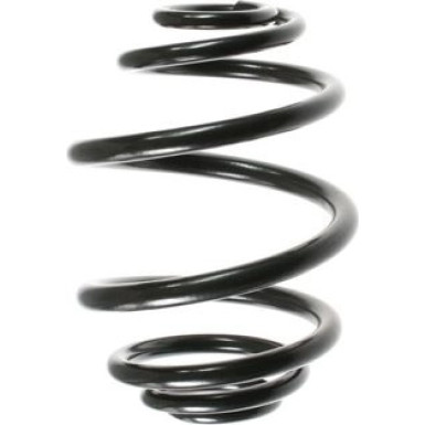 SPIDAN Fahrwerksfeder 48039