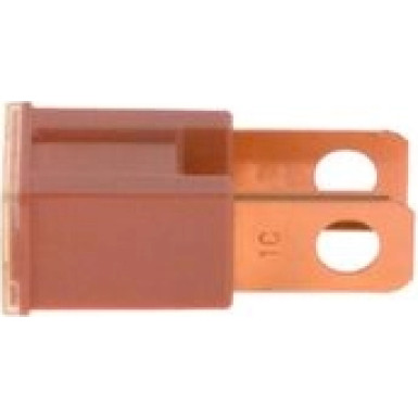 1 987 529 068 Sicherung