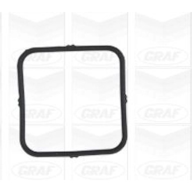 PA 893 Wasserpumpe | BMW 1,3,X3,Z4 00 | PA893