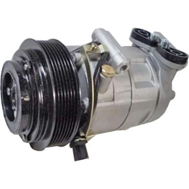 Kompressor, Klimaanlage BEHR ACP 1329 000S