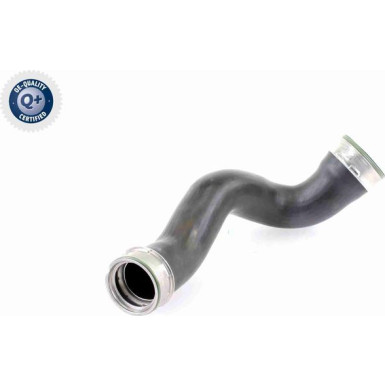 VAICO Ladeluftschlauch V30-1779