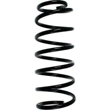 SPIDAN Fahrwerksfeder 49392