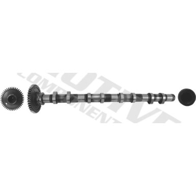 Nockenwelle | T4342