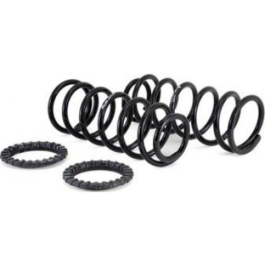 Arnott Fahrwerksfedernsatz HA | TOYOTA Land Cruiser Prado 02-09 | C-2410