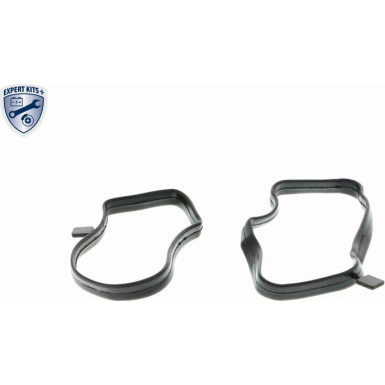 VAICO Ventil, Kurbelgehäuseentlüftung V20-0850 Expert Kits +