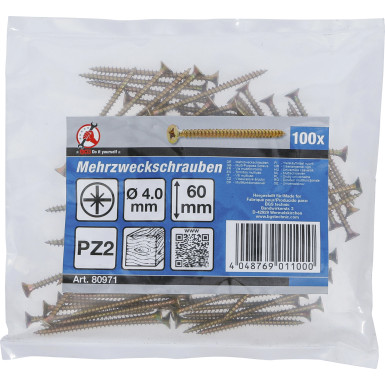 BGS Mehrzweckschrauben | Kreuzschlitz PZ2 | 4,0 x 60 mm | 100 Stück | 80971