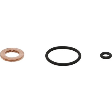 Einspritzdüse Dichtungssatz | 883.700 Einspritzdüse Dichtungssatz | 883.700