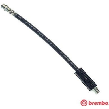 BREMBO Bremsschlauch | T 85 039