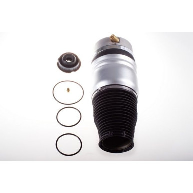 DSA113G Luftfeder, Fahrwerk