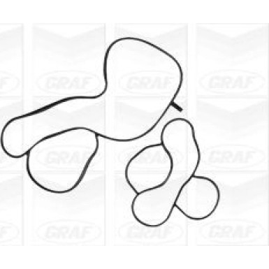 PA 1218 Wasserpumpe | VW Golf 1.2 TSI 12 | PA1218 PA 1218 Wasserpumpe | VW Golf 1.2 TSI 12 | PA1218