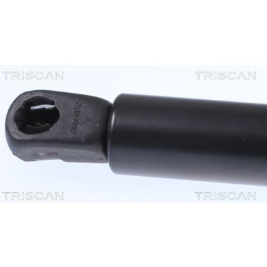 GASFEDER, KOFFER-/LADERAUM | 871015257